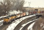 Local rolls through Westminster